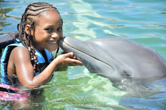 Meet your Posher, Collette - Picture 1 of 1